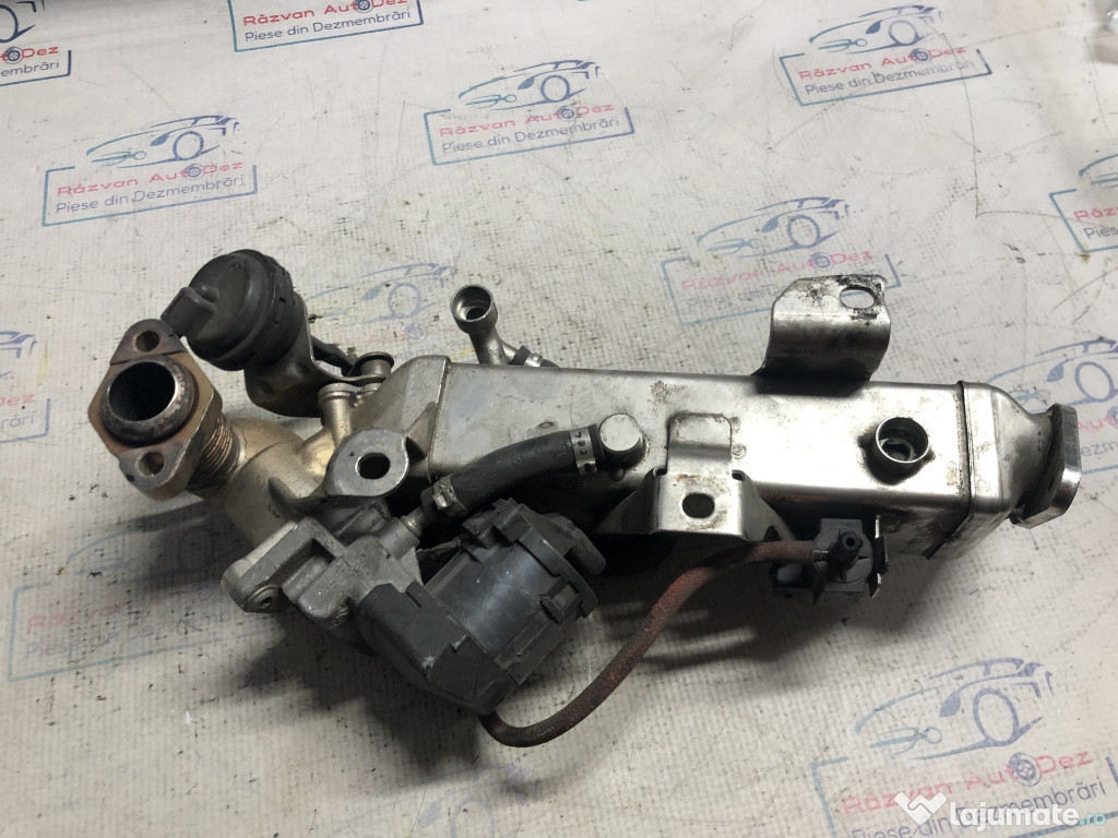 Racitor Gaze cu EGR BMW F30 2.0 2012