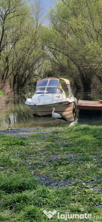 Barca QuickSilver 540 Cruiser, motor Mercury 115 CP
