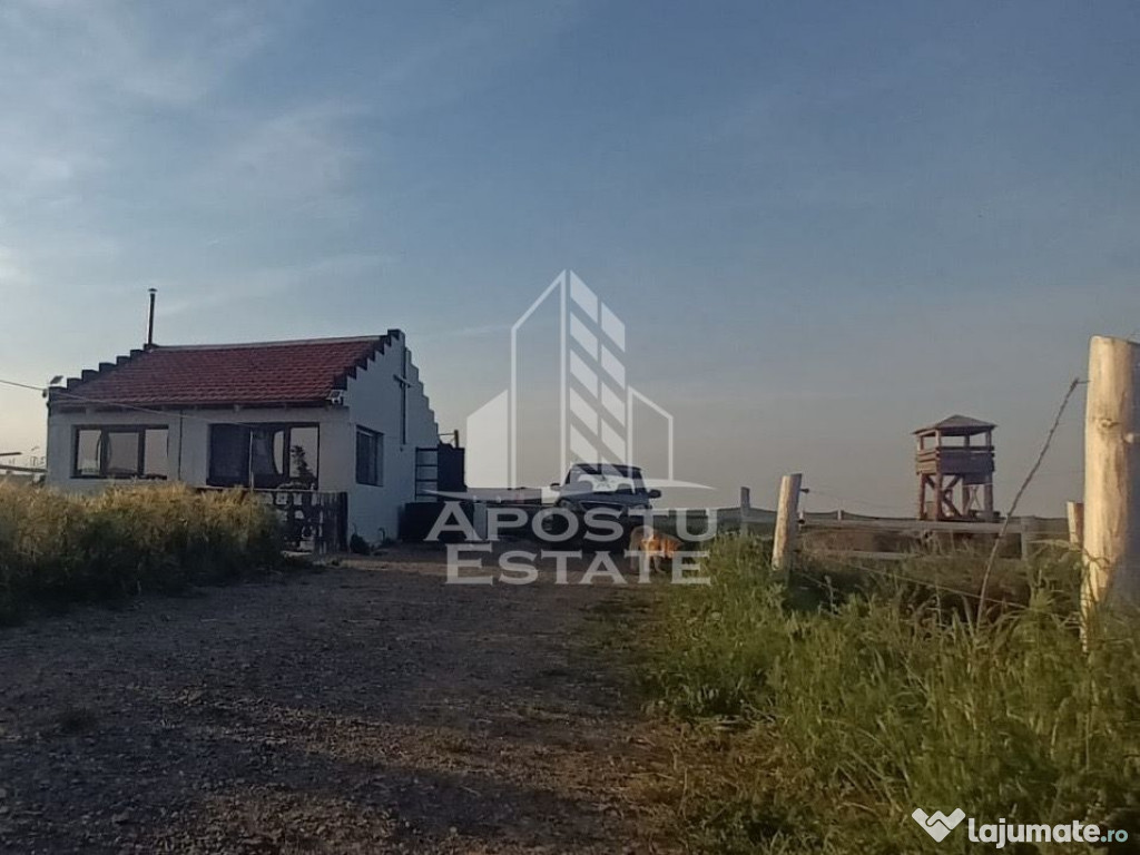 Farmhouse la 14km de Timisoara, teren 1ha