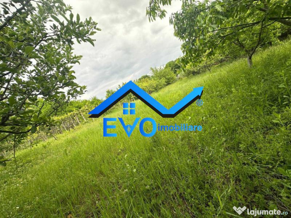 Teren construibil 2200 mp in Pietraria, Barnova, deschidere