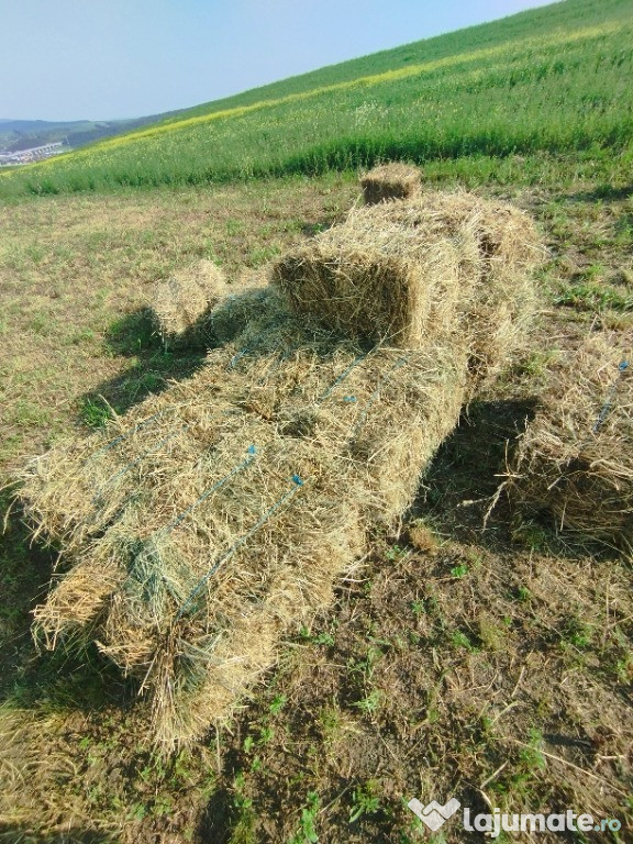 Baloți fân cu lucernă