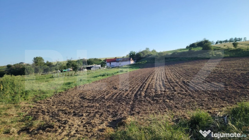 Teren ideal pentru constructie, 2722 mp in Ghercesti