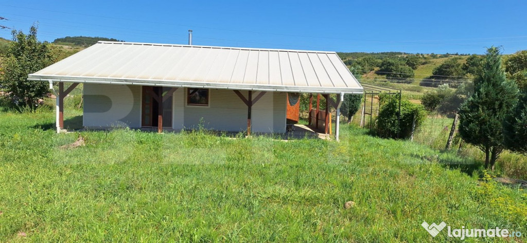 Teren 1000 mp intravilan cu constructie metalica de 66 mp