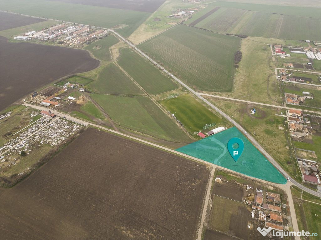 Teren construibil de investiţii în Caporal Alexa