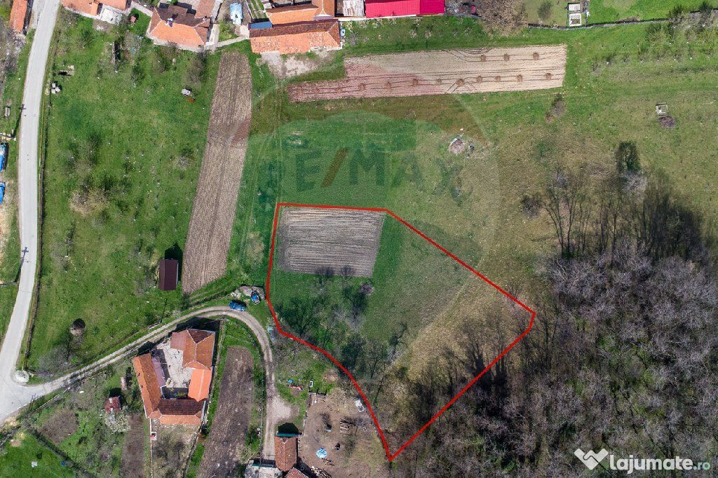 Teren partial intravilan 2,984mp Baru Mare jud.Hunedoara