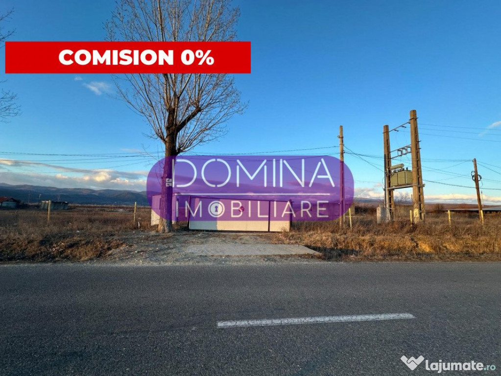 Teren 2,5 ha - infrastructură industrială și hală funcț