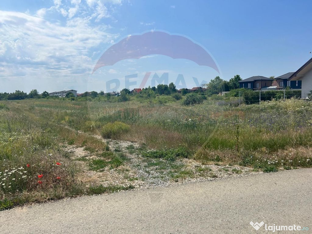 De vanzare TEREN 4610 mp, 24 euro mp Corbeanca-IF