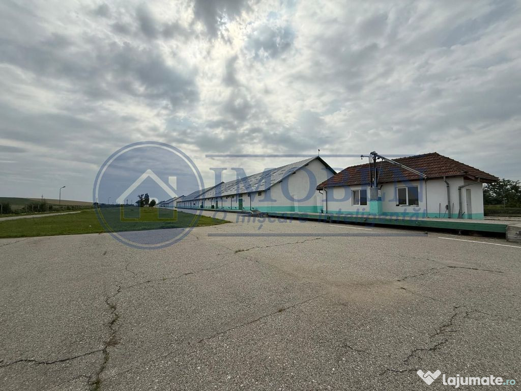 Depozit Cereale-3 Silozuri-Aut ISU-31.000mp-Perfect funct...