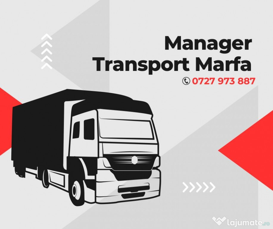 Manager Transport Marfa