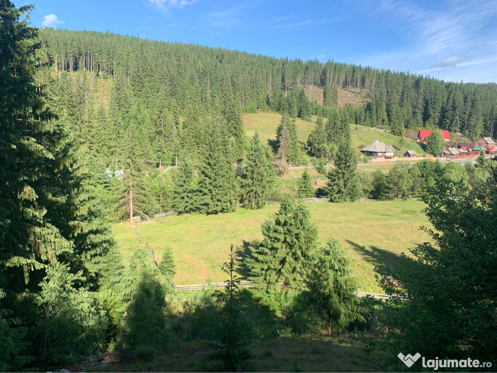 Teren intravilan in satul Poiana Horea