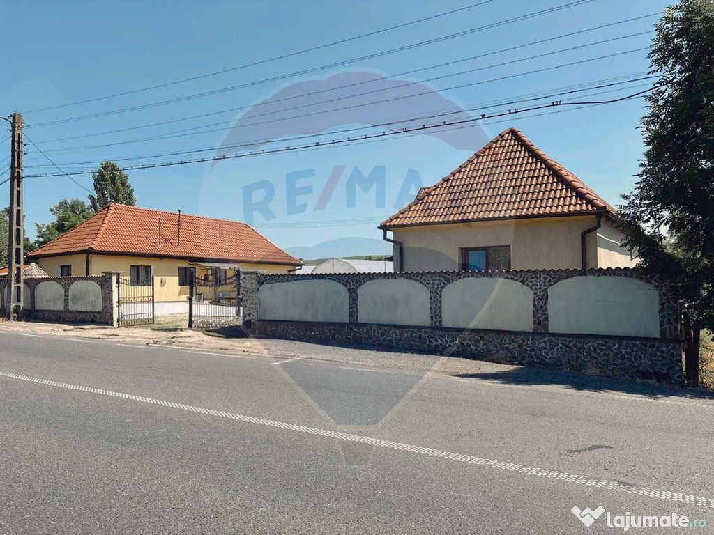 Casă de vânzare cu teren de 21.772 mp și 4 sere, Borod