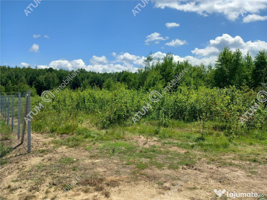 Teren intravilan 3900 mp Porumbacu de Sus, Sibiu