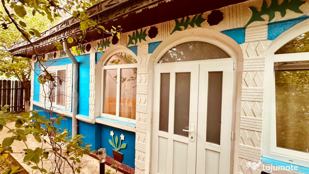 Gospodarie completa, casa batraneasca si anexe cu 2900 mp te