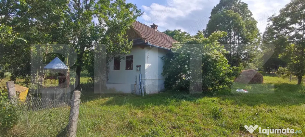 Casa individuala, cu teren de 3000 mp, Tureni, toate utilita