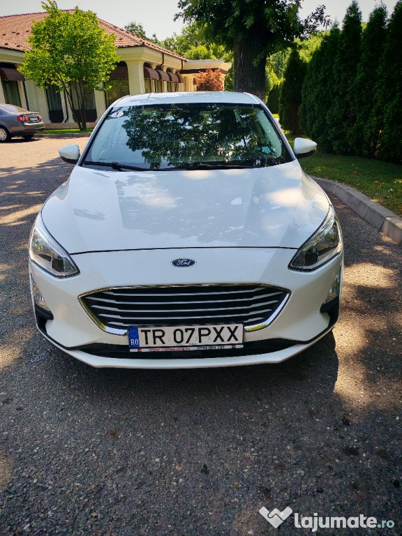 2019 Ford Focus ALB PERLAT