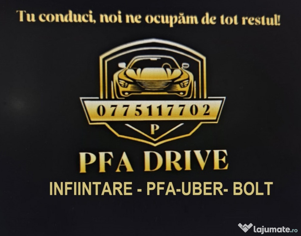 Infiintare PFA, Gestionare activitate Ridesharing Bolt si Uber