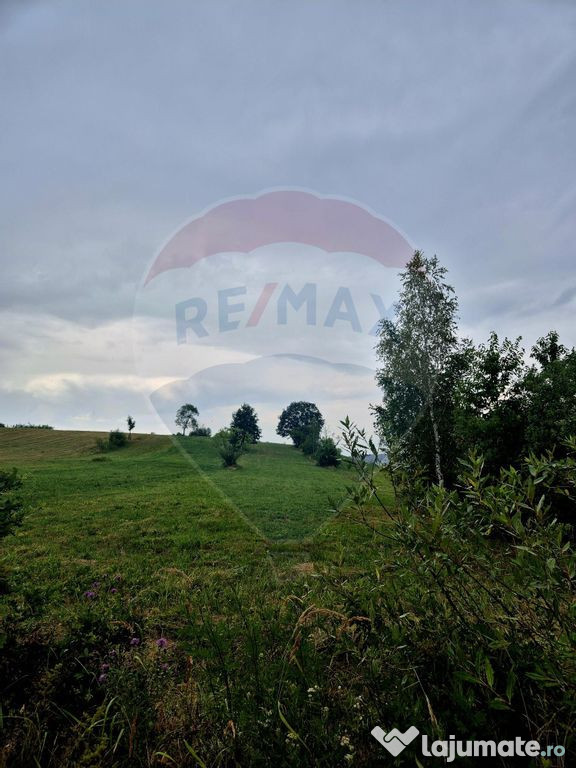 Teren extravilan 8,439mp Sinca Noua / Ideal cabana weeken...