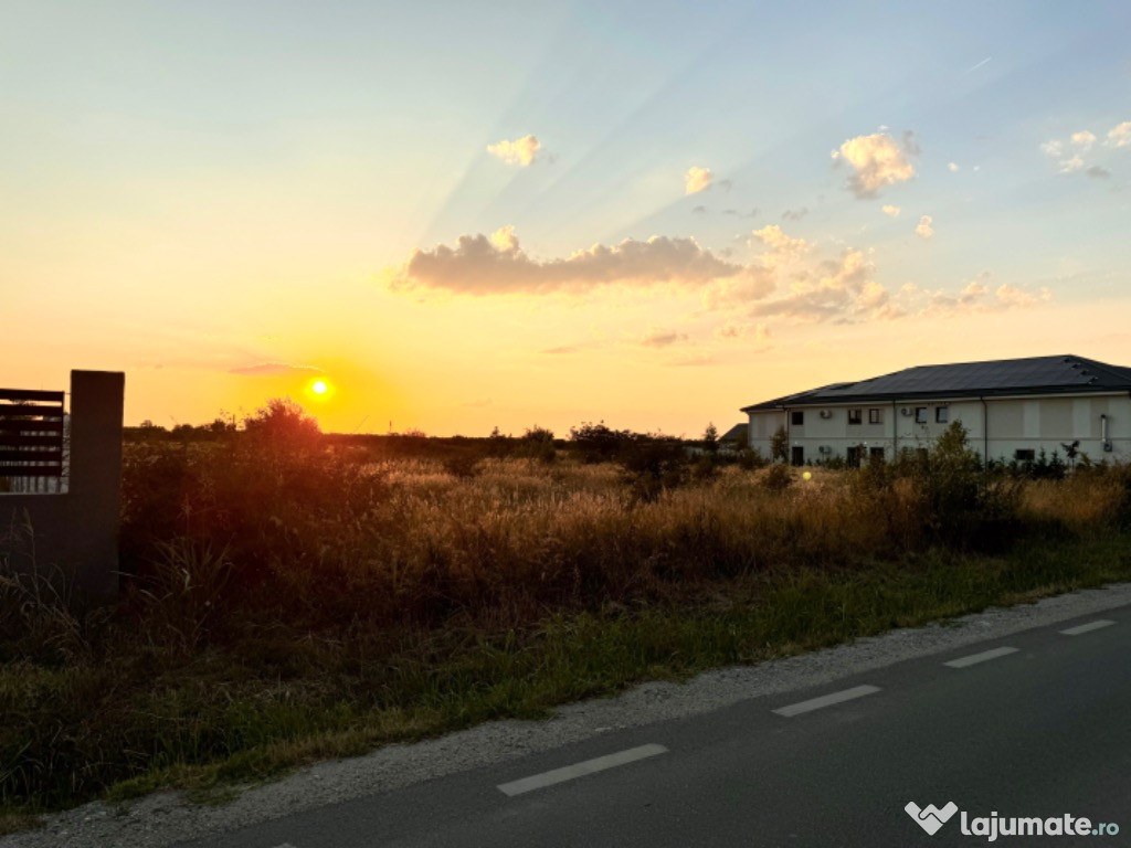 Teren 5000 mp, intravilan, utilități, Cârcea (str. Aeroportului)