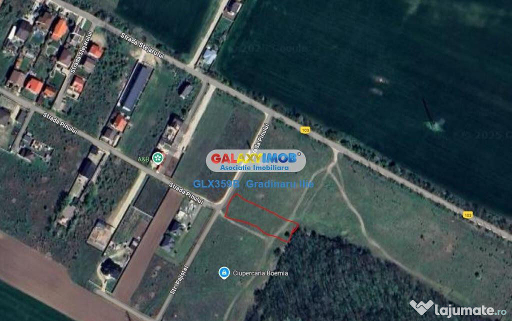 Teren 2000 mp in Magurele Ilfov