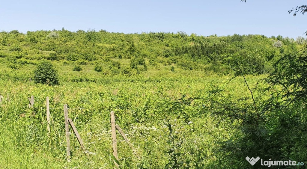 Vand parcele teren intravilan Valea Calugareasca 500mp
