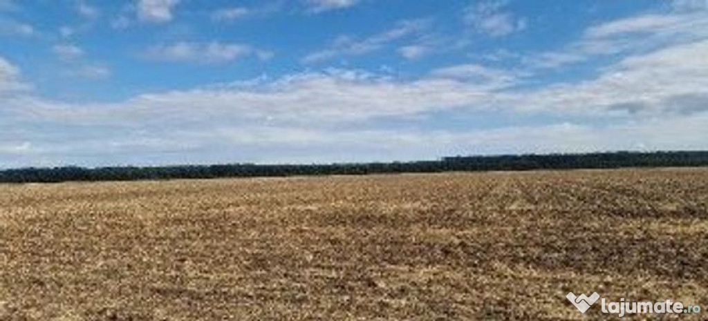 Teren extravilan Branesti, ID: R2649181