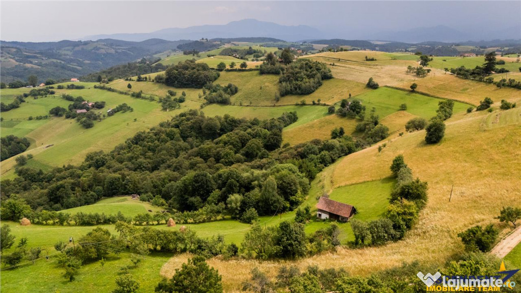 Oaza de liniste si frumusete, reconectare cu natura,16.000 m