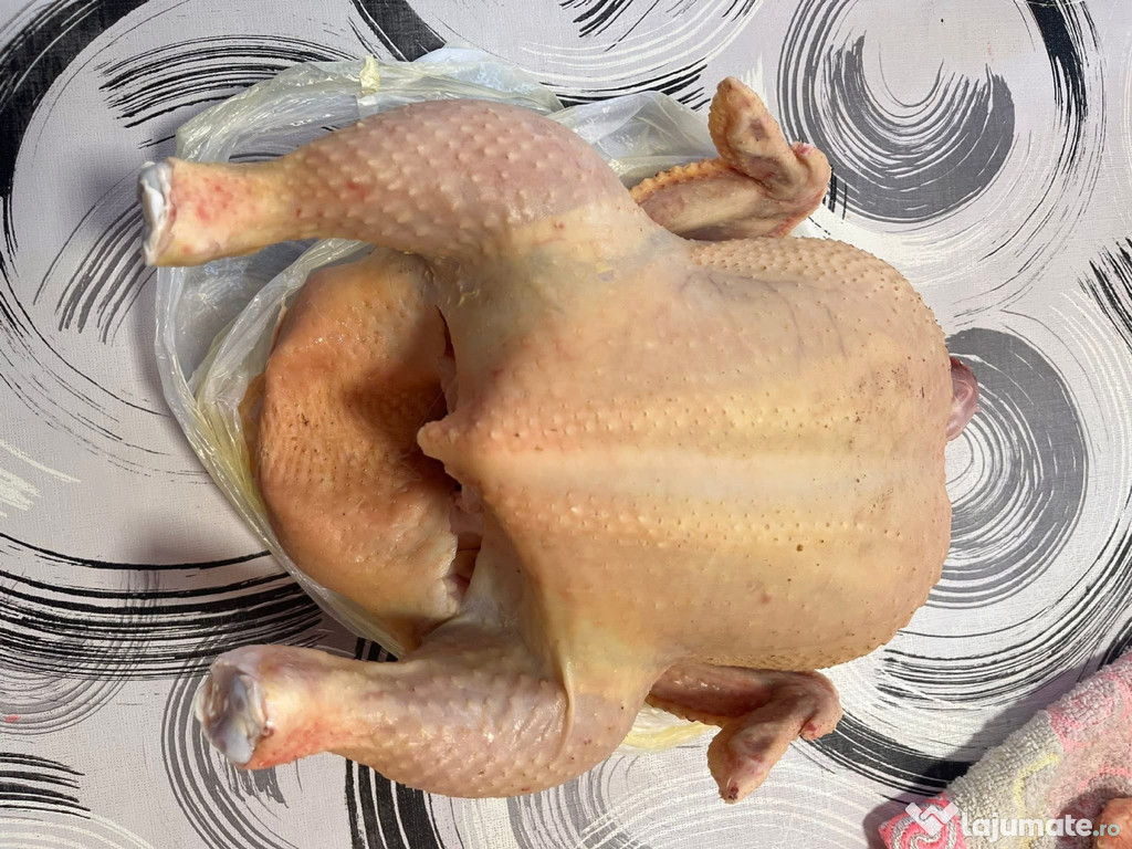 Pui de carne de vânzare