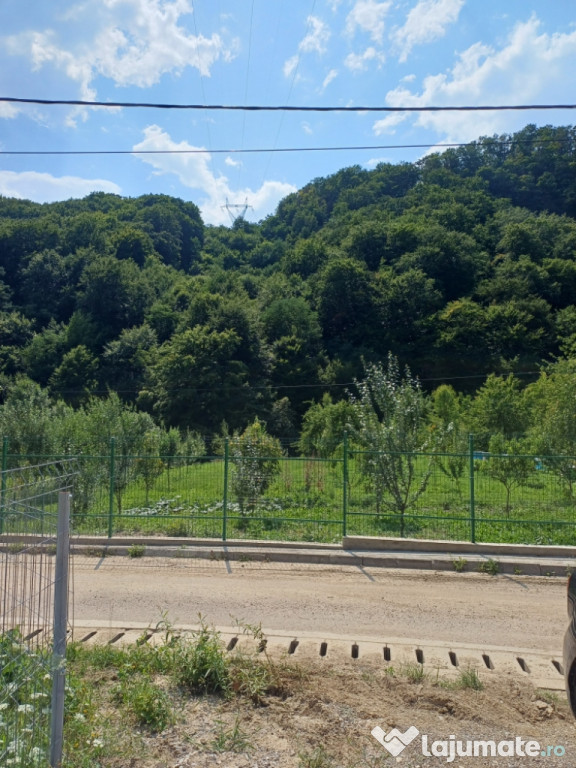 Teren intravilan 1600 mp in Sarata, str. Humariei