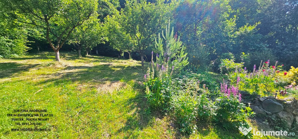 Proprietate la 5 km de oras - Vila P+1 + 5600 mp teren