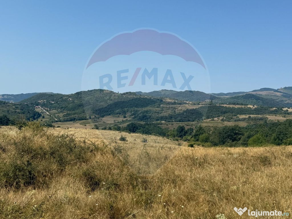 Teren 20,000mp Drobeta Turnu-Severin / Aleea La bogobia