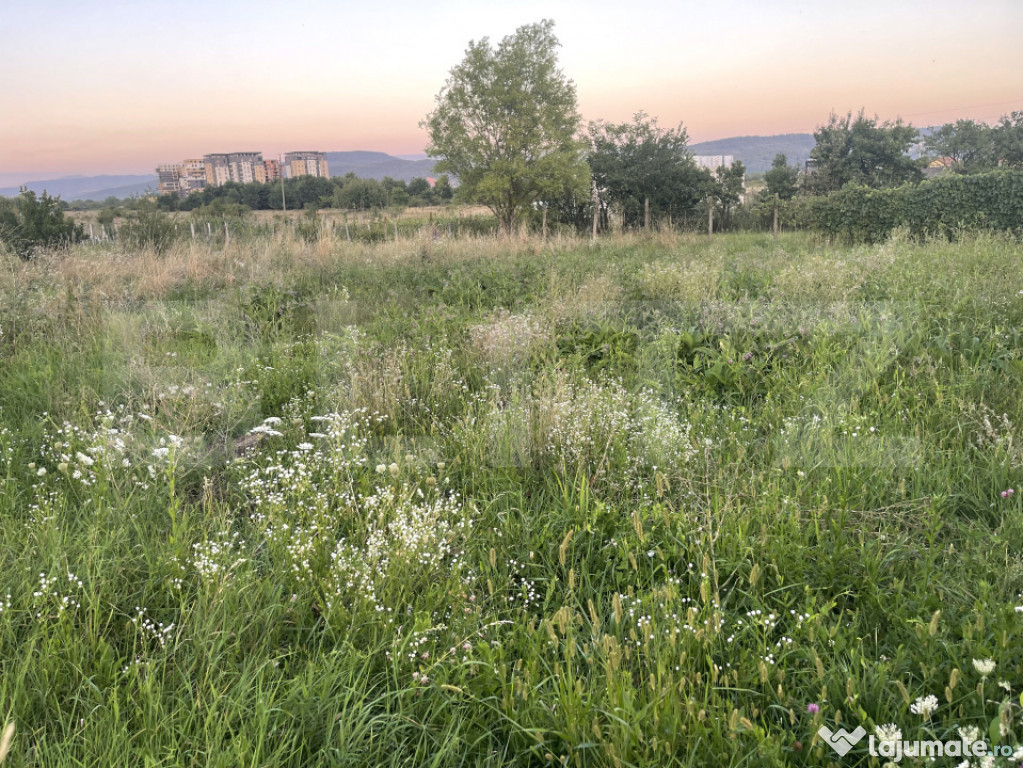 Teren Generos 16 Ari – Subcetate, Aproape de Natură