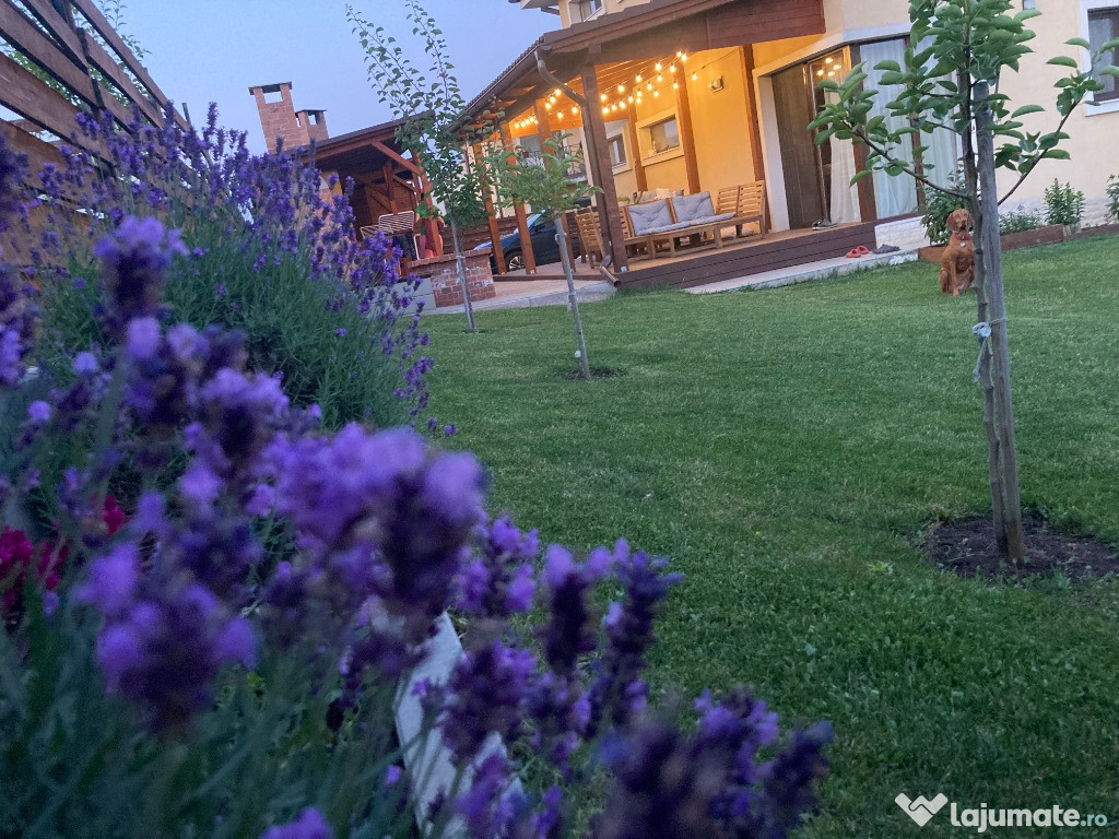 Casa individuala deCasa vanzare mobilata cu teren de 500mp, in Dezmir