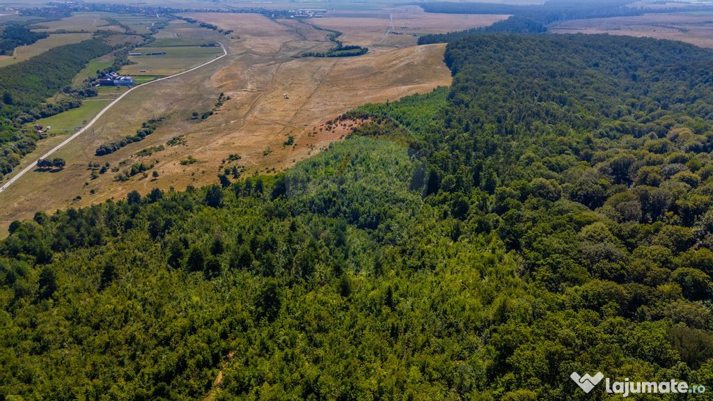 Teren 6,000mp Crizbav / Strada principala