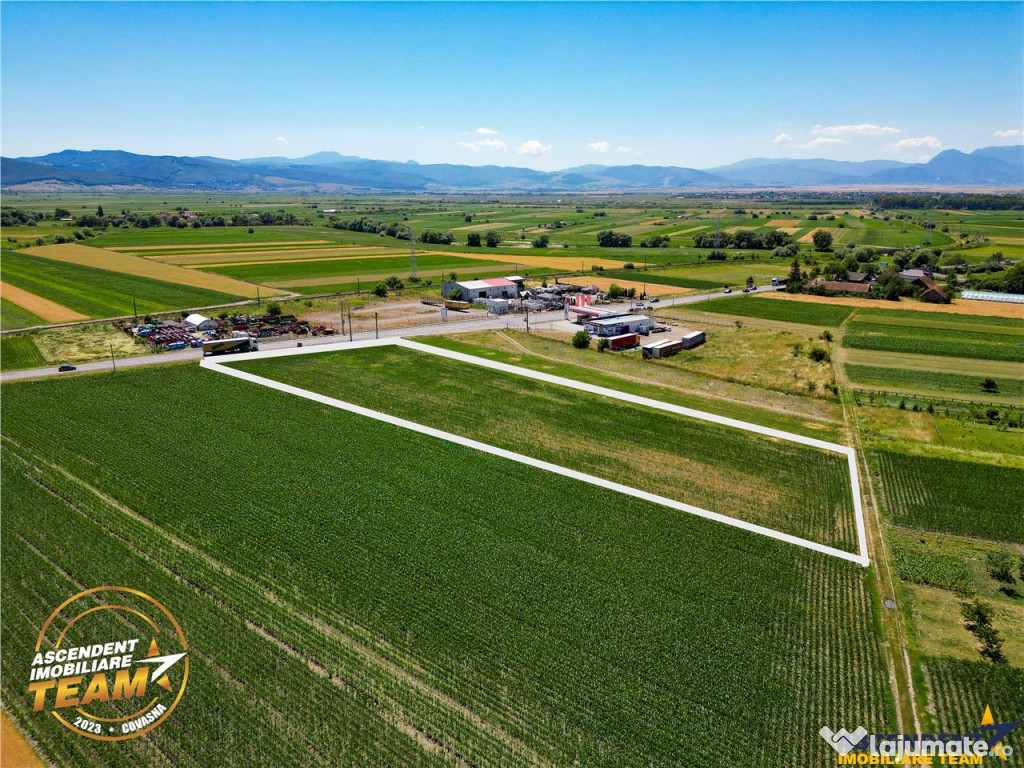 8.400mp, la DN12, cu Certificat Urbanism, teren intravilan,