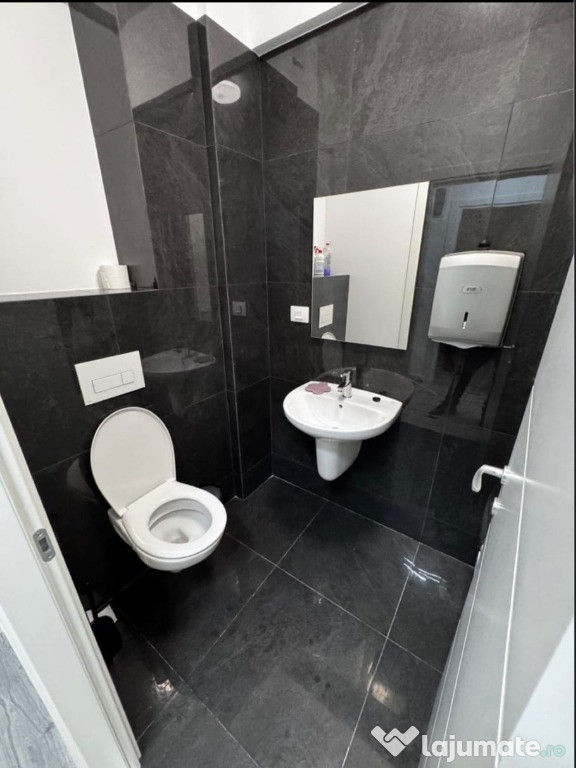 Apartament 1 camera Visoianu