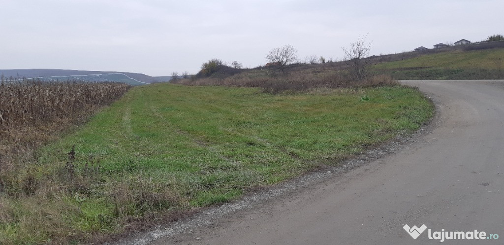 Vand 8000mp teren intravilan in cluj