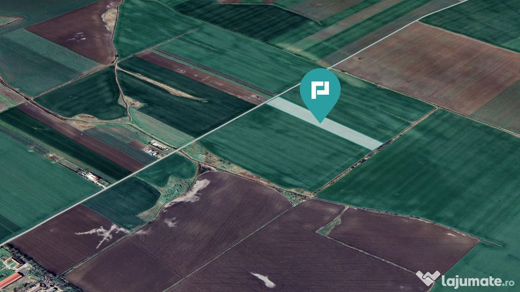 Teren 30.000 mp cu acces asfaltat – Peciu Nou