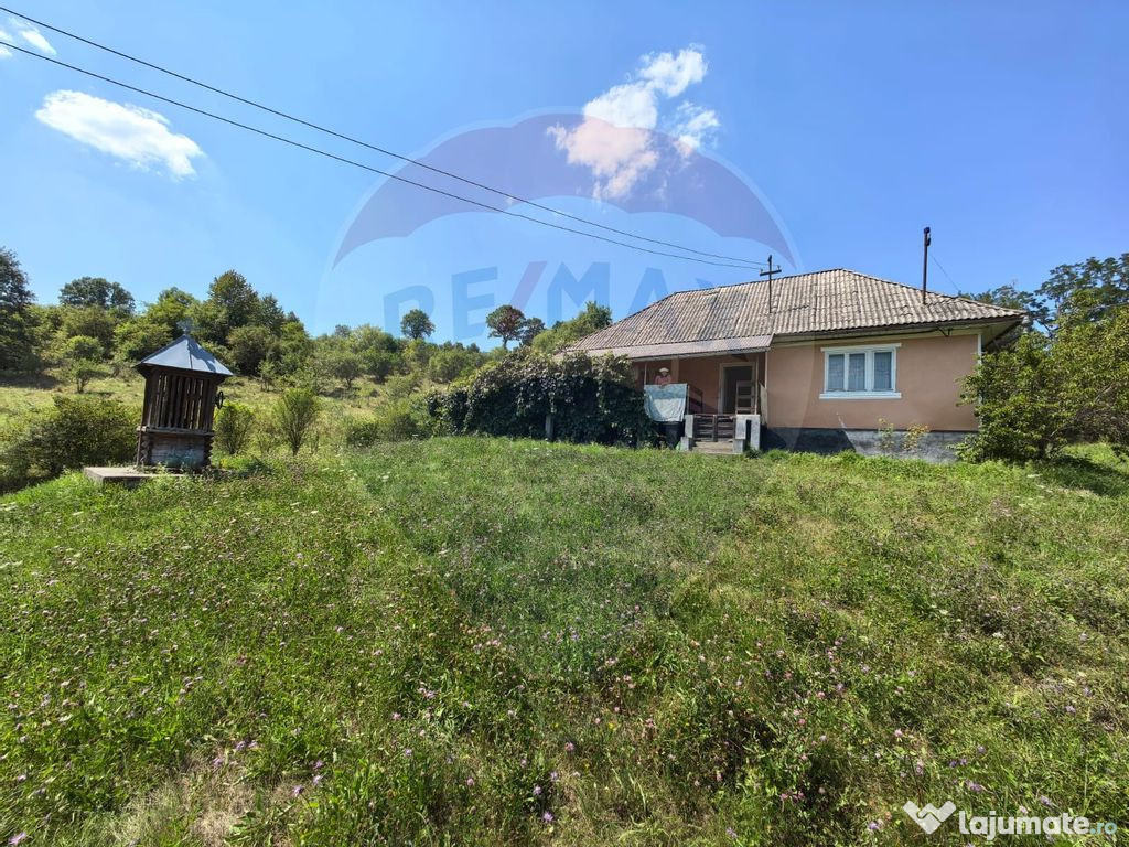 Casă cu teren generos de 62 ari – Berința, Maramureș