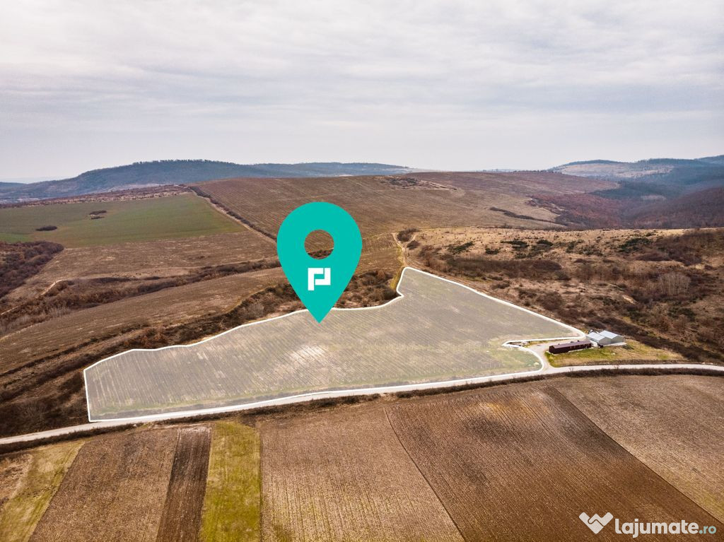 Vie de 115 Hectare în satul Dud, județul Arad