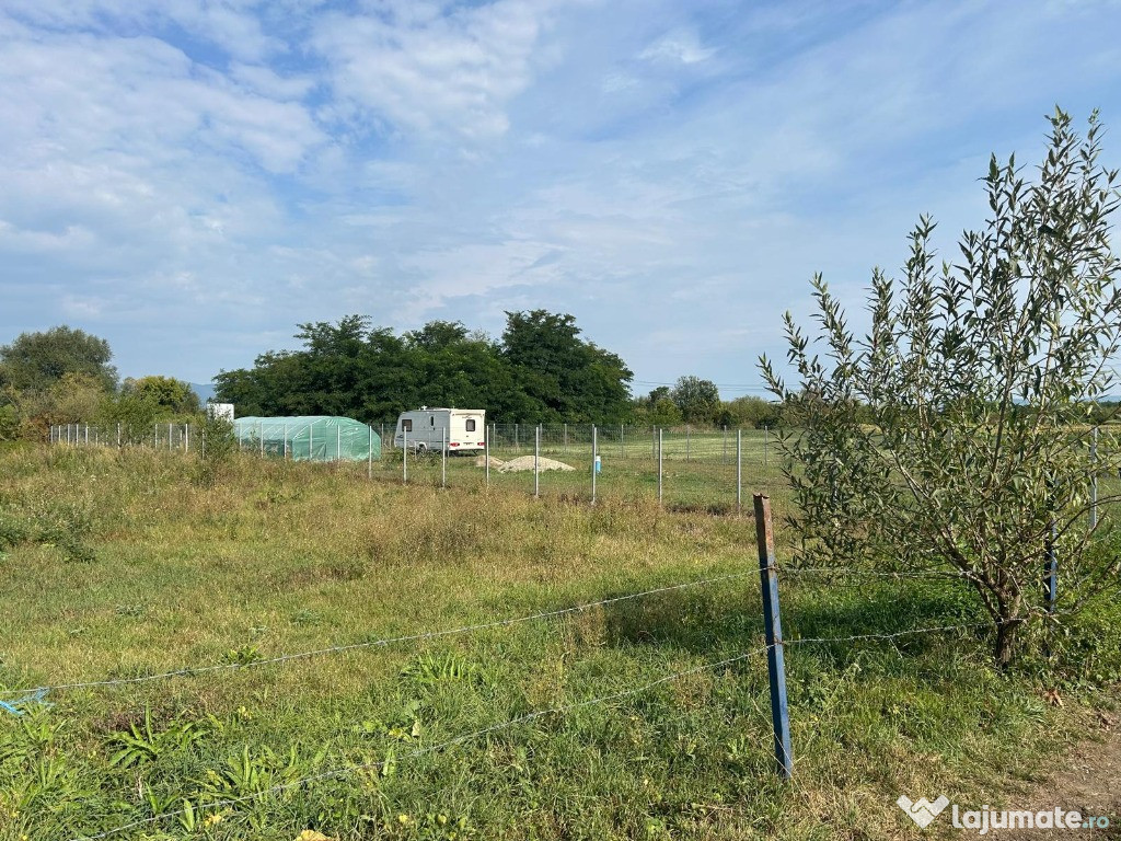 Teren intravilan industrial – Hălchiu, str. Feldioarei – 1600 mp