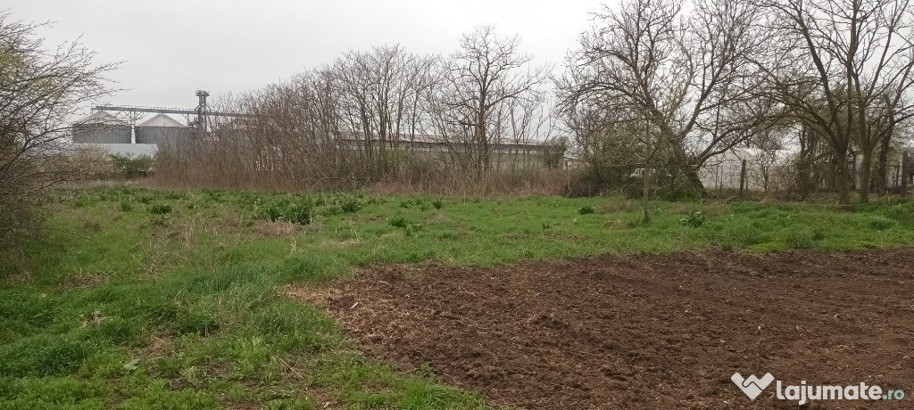 Teren intravilan arabil 3846 mp,Topraisar.Zona buna,sub pretul pietei