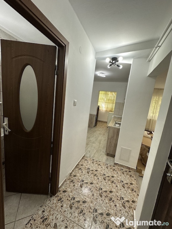 Apartament cu 1 Camera