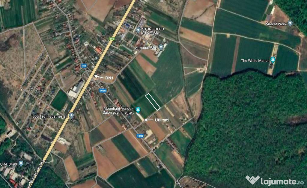 Teren 5000 mp, în apropierea Pădurii Ciolpani și DN1