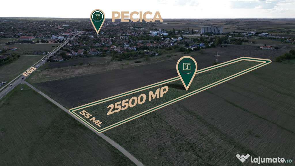 Teren intravilan cu poțențial de 25500 mp in Pecica