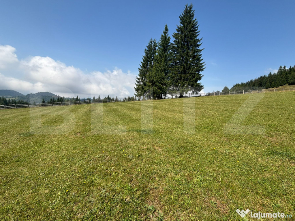 Vânzare teren intravilan de 2 hectare, în Pasul Tihuța