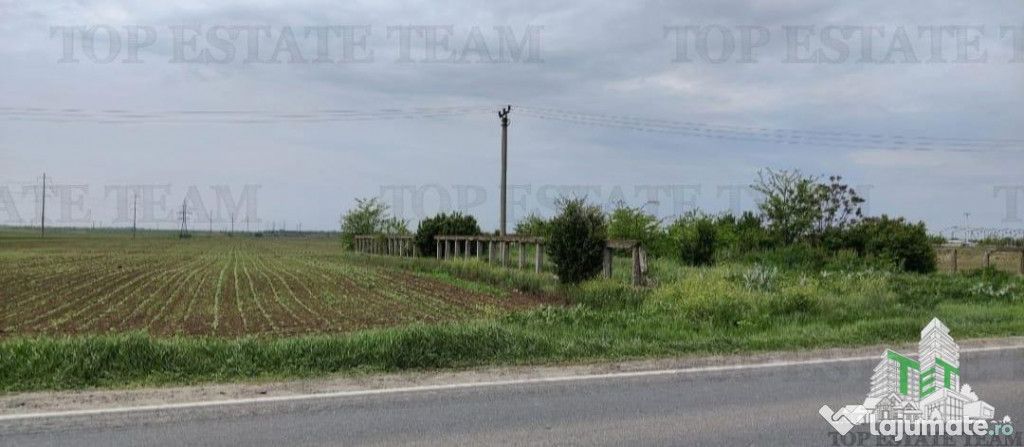 Teren intravilan - - centura - Cazasu - Braila
