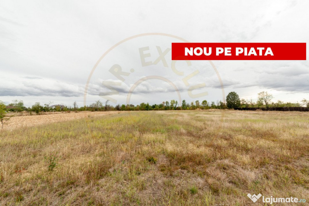 Teren intravilan 3000 mp, Oarja, Arges – amplasament excel
