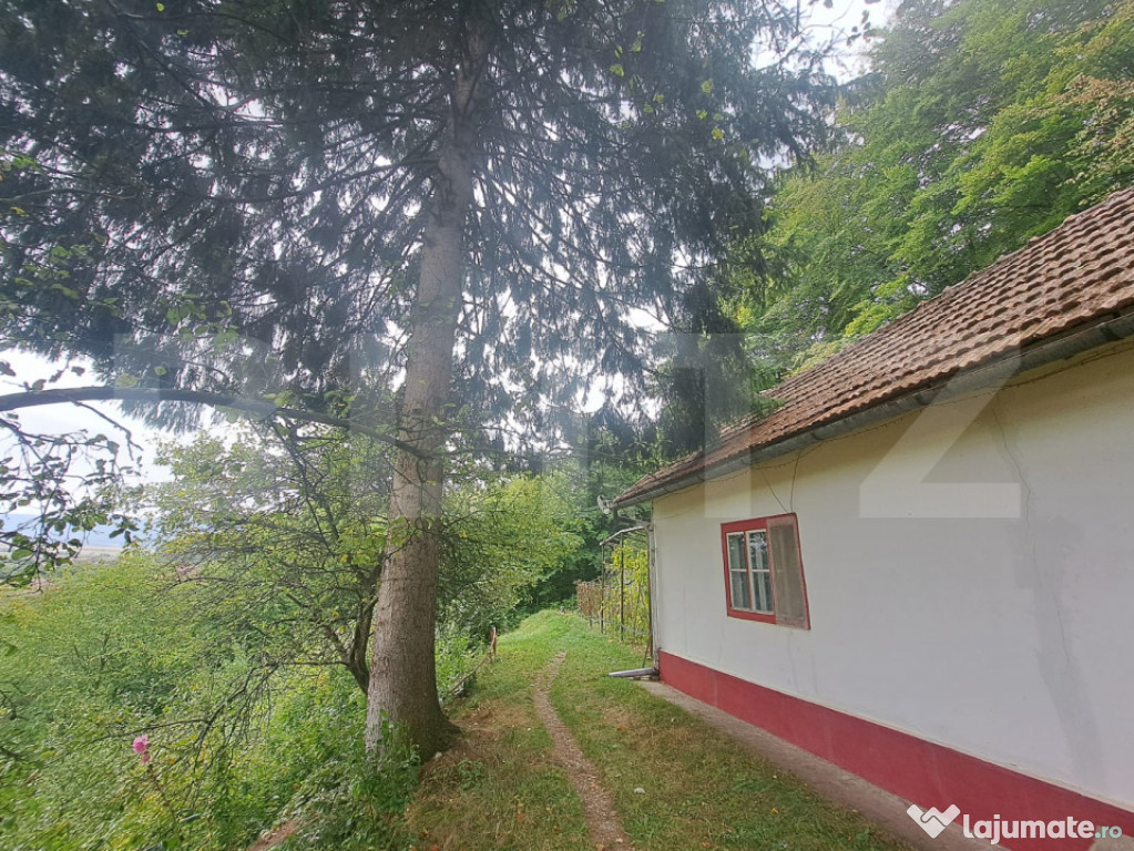 Casă de vânzare – Colonia 1 Mai 75.000 EURO