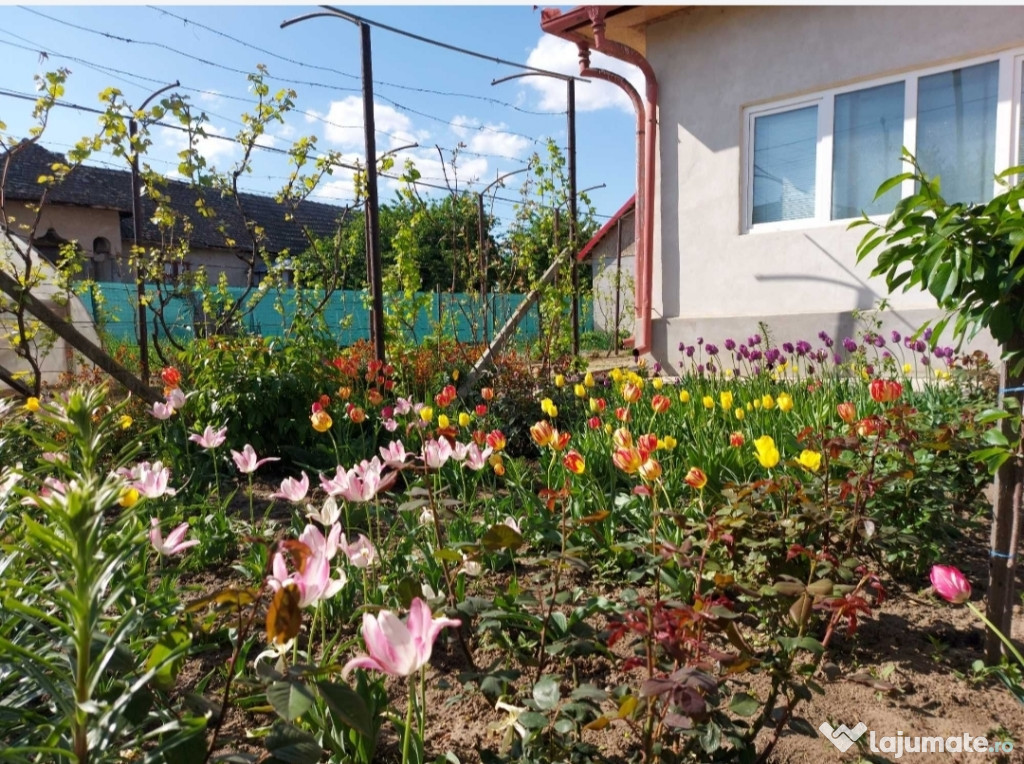 Casa Mobilata și Utilată,Renovata Complet