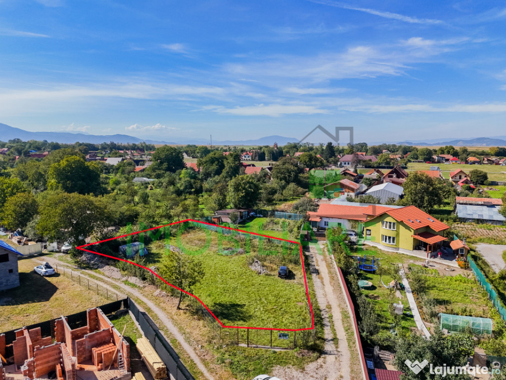 Teren intravilan generos de 1.430 mp în Cărpiniș, investi